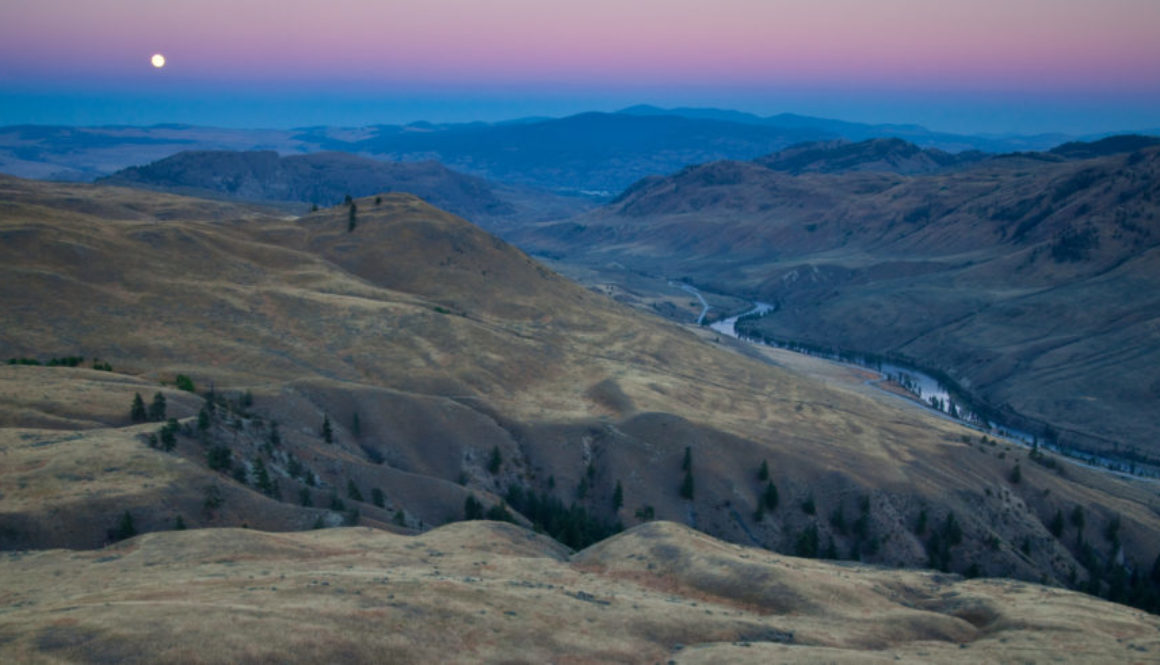 SOS - East Chopaka Grasslands, South Okanagan, British Columbia, BC © Graham Osborne 3A-I-3505-2