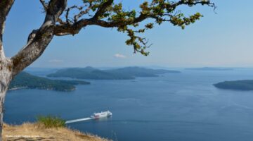 ID: Overlooking gulf islands from Galiano island.