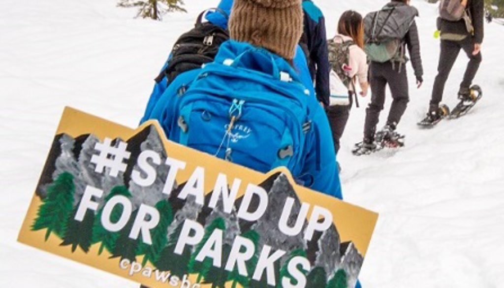 Stand Up For Parks snowshoe square image