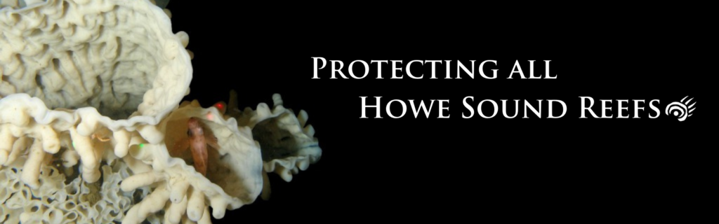ID:Decorative. Protect Howe Sound Reefs.