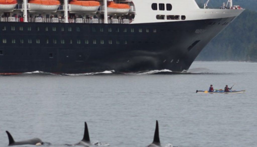 SSG orcas ship Rachel Elliot