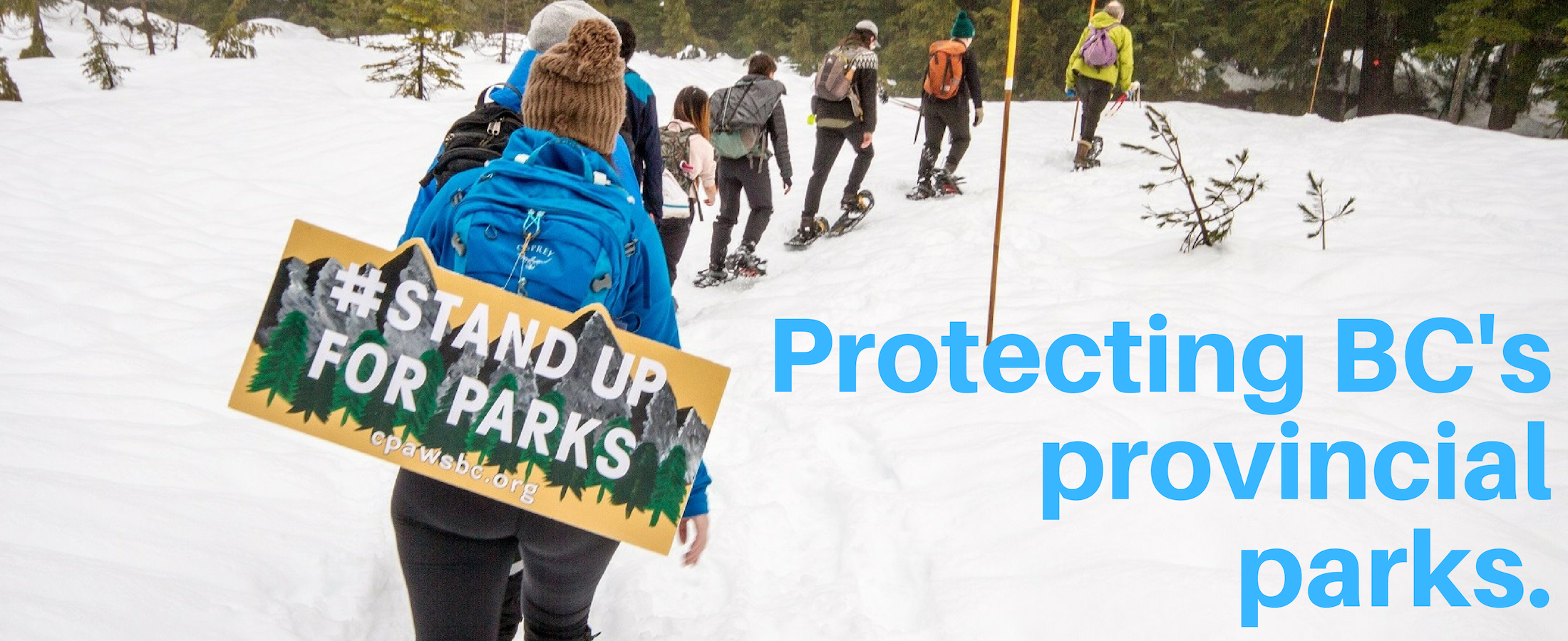 ID: Line of snowshoers wear sign that reads Stand up for BC's parks.