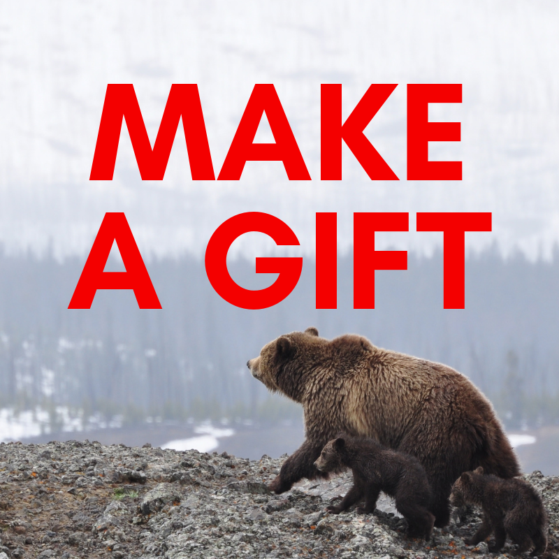 Make a gift button