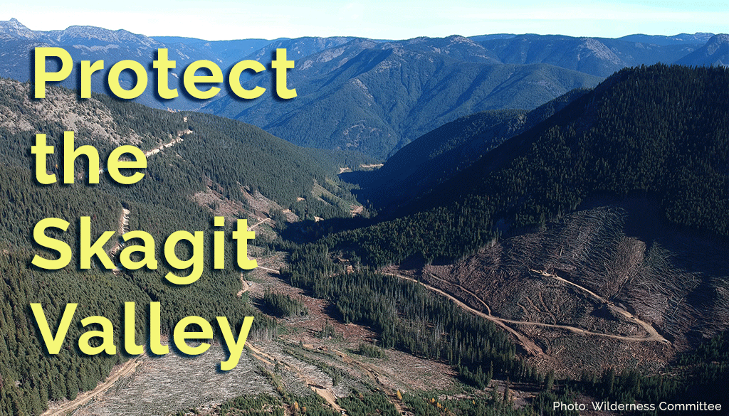 ID: Yellow text reads Protect the Skagit Valley over cool toned mountain valley landscpape.