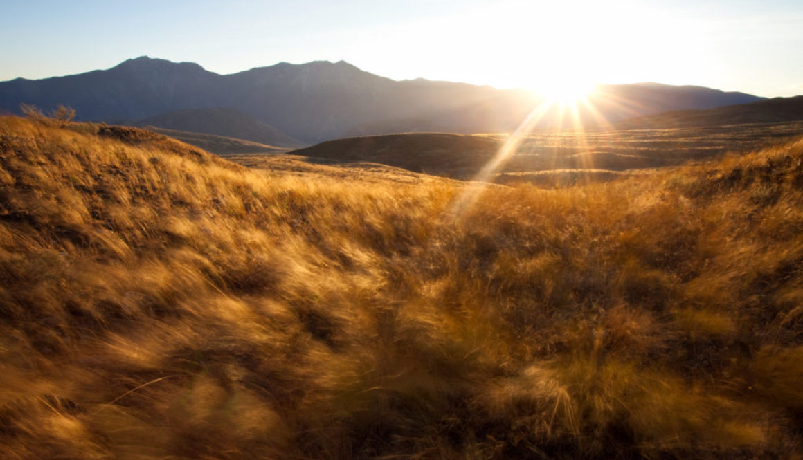 Memorandum of Understanding moves forward on Canada’s newest Okanagan-Similkameen National Park Reserve