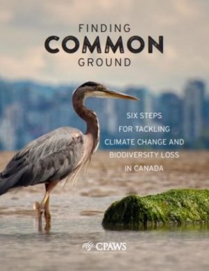 The Canadian Parks and Wilderness Society (CPAWS) unveiled its report, Finding Common Ground: Six steps for tackling climate change and biodiversity loss in Canada, providing a high-level roadmap for policy makers to harness ecosystem conservation and deliver win-win climate and biodiversity benefits by 2030.