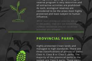 parks infographic (1)