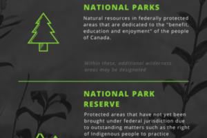parks infographic (2)