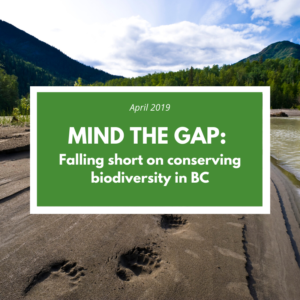 As part of these goals, Canada has agreed to protect 17% of our lands
and inland waters by 2020 in a connected, representative, well-managed system of protected and conserved
areas. In the lead up to these meetings, the Canadian
Parks and Wilderness Society’s BC Chapter (CPAWSBC) has conducted a preliminary analysis of biodiversity conservation in BC and our progress towards these
targets.