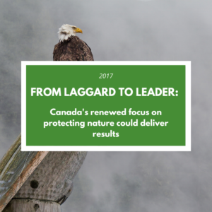 CPAWS’ 2017 report “From Laggard to Leader? Canada's renewed focus on protecting nature could deliver results,” encourages federal, provincial, and territorial governments to step up their protection efforts in order to conserve Canada’s natural heritage, and deliver on our international commitment.