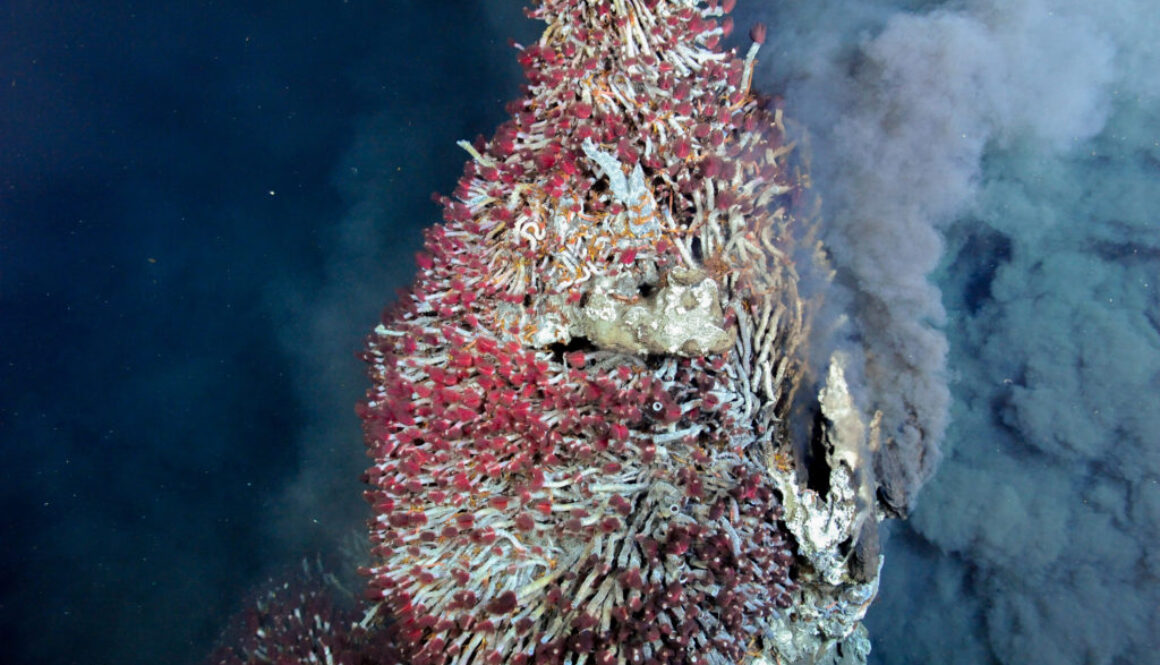 ID underwater heat vents spew nutrient rich plumes in the deep sea