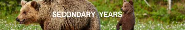ID: Adult bear and cub meander through grass. White bold text reads "secondary years"