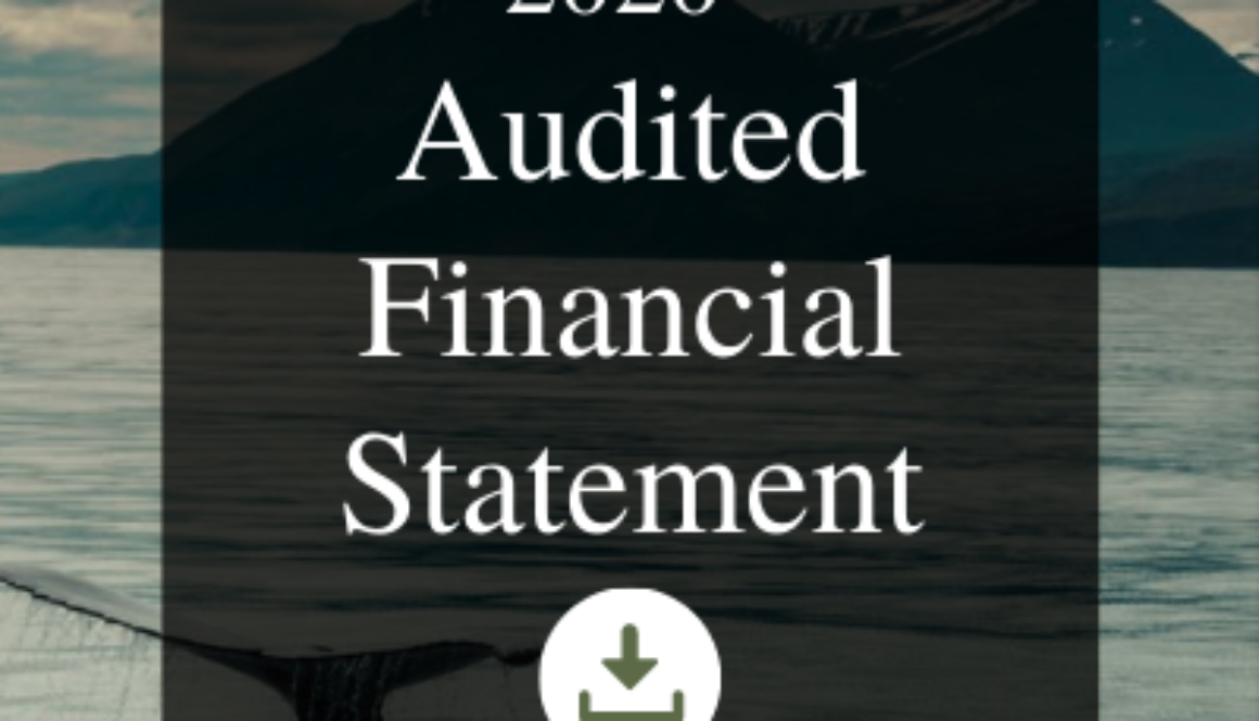 ID: Download 2020 Auditied Financial Statement