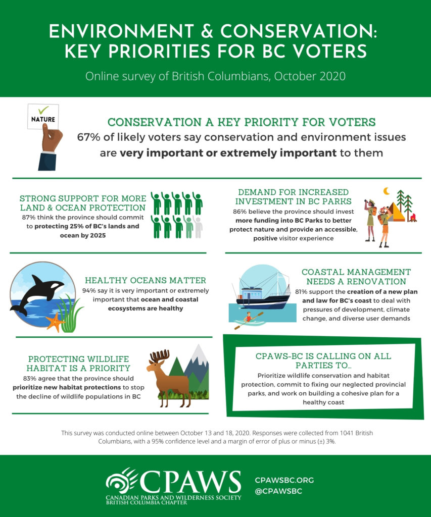 ID: Infographi on BC voter priorities
