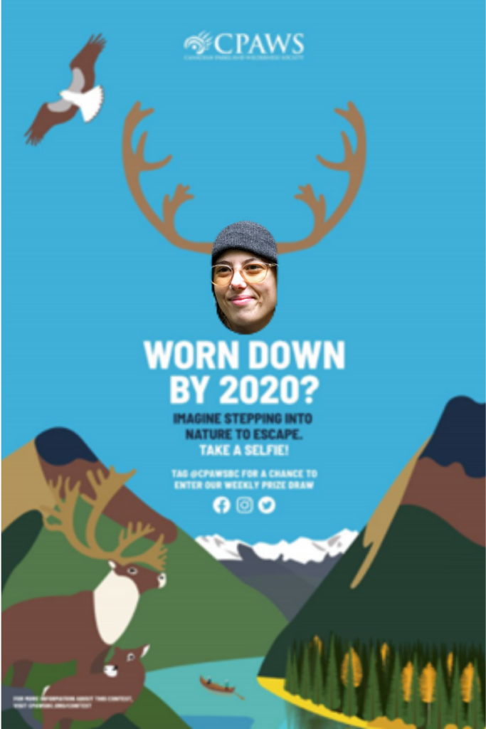 ID: Face with round eyeglasses pokes through illustraed poster with antlers, mountain and caribou on blue sky.