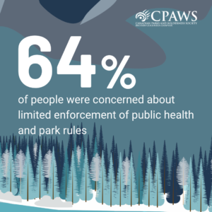 ID: Snowy forest illustration with icey-blue background. Text reads: 64% of people were concerned about limited enforcement of public health and park rules.