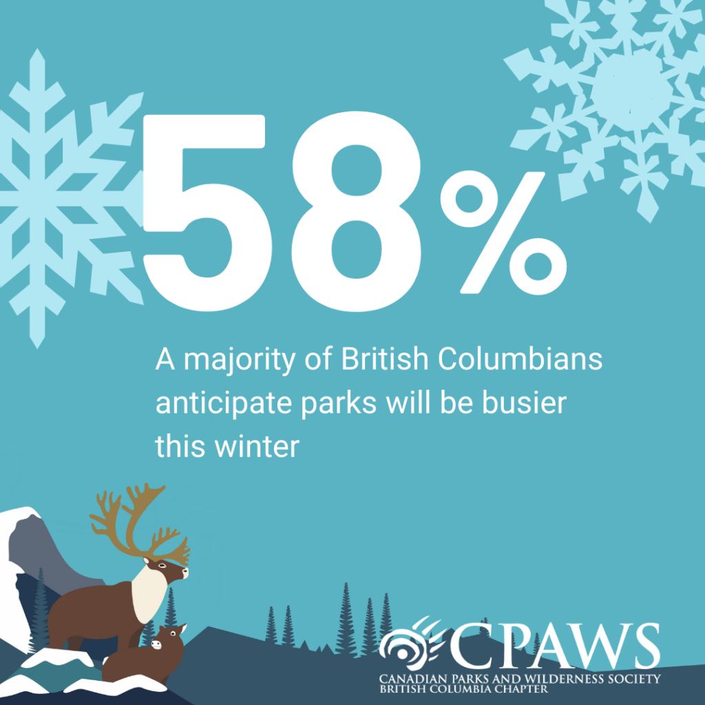 ID: Caribou illustration with icey-blue background. Text reads: 58% - a Majority of British Columbians anticipate parks will be busier this winter