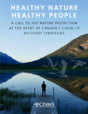 The Canadian Parks and Wilderness Society (CPAWS) highlights how the COVID-19 pandemic has revealed the critical role of Canada’s treasured parks and protected areas. They are not just important for protecting nature and tackling climate change, but also for maintaining Canadians’ health and well-being, and supporting a resilient, diversified economy. In the report, Healthy Nature Healthy People, CPAWS provides recommendations for how federal, provincial and territorial governments can provide health and economic benefits to Canadians by investing in protected areas.