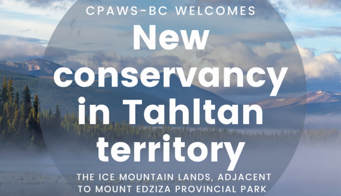 ID: new conservancy in Tahltan territroy over misty mountain water.