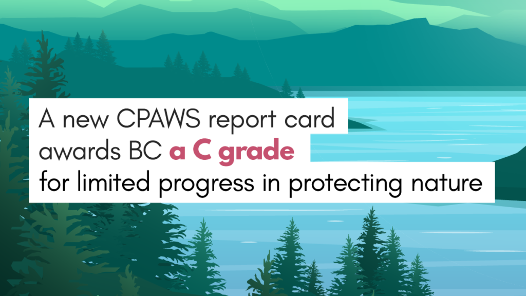 ID: Coastal forest illustration. Bold text reads" New reportcard rewards BC a "C grade" for limited progress on protected areas