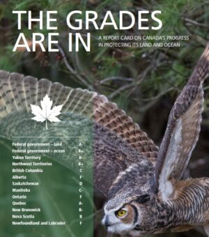 The first of its kind, The Grades Are In: A Report Card On Canada’s Progress in Protecting its Land and Ocean is intended as a baseline against which to track Canada’s annual progress toward reaching its 30X30 protection goal. This assessment shows that a lack of commitment and ambition across much of the country stymied efforts to protect at least 17% of Canadian land and inland waters by last year’s 2020 deadline. Currently, only 13.1% of the country’s land is protected. Canada met its 10% ocean protection target by 2020 with 13.8% protected, albeit with concerns about the quality of conservation measures in some areas.