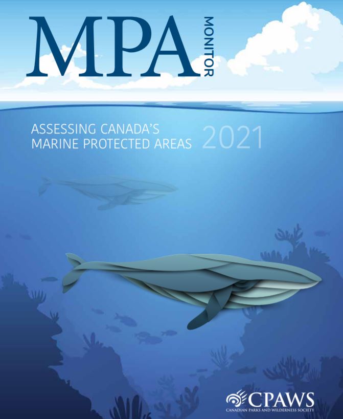 Report: The MPA Monitor