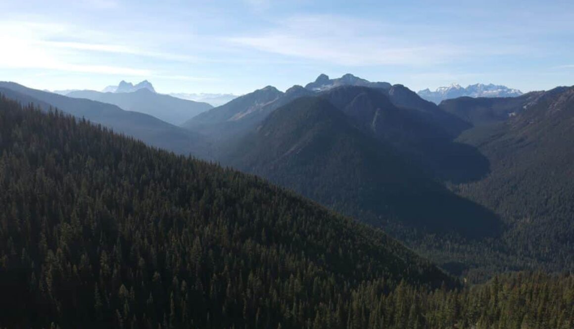 ID: Forested mountains plunge into river valley on blue skied day