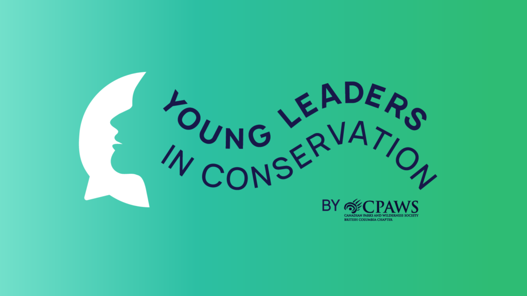 Green and blue gradient with white icon of a face. Blue text reads Young leaders in conservation