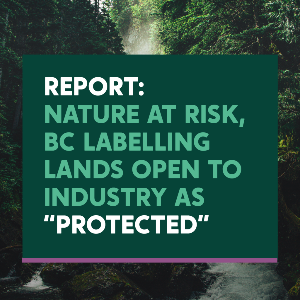 report: nature at risk, bc labelling lands open to industry as "protected". Green text on dark green background, with background image of a forest and river