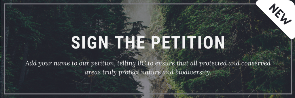 dark forest background with a river. sign the petition, Add your name to our petition, telling BC to ensure that all protected and conserved areas truly protect nature and biodiversity