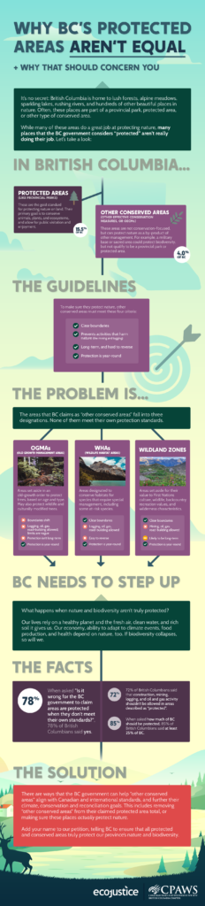 infographic about other conserved areas in BC, including WHAs (Wildlife Habitat Areas) OGMAs (Old Growth Management Areas) and Wildland Zones. Infographic release by CPAWS-BC and Ecojustice