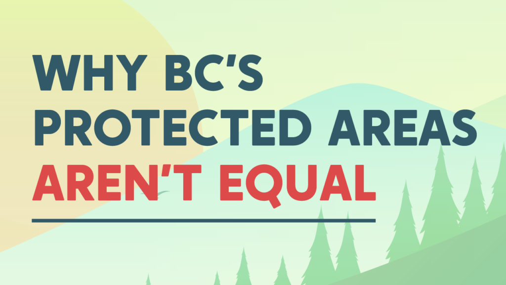 Why BC's protected areas aren't equal; pastel background with sun, trees, mountains (cartoon/vector style)