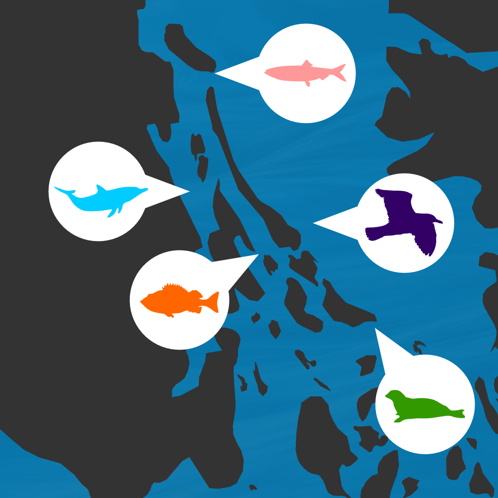 ID: Illustration shows bubble of fish, birds, sealions through the Southern Gulf Islands map