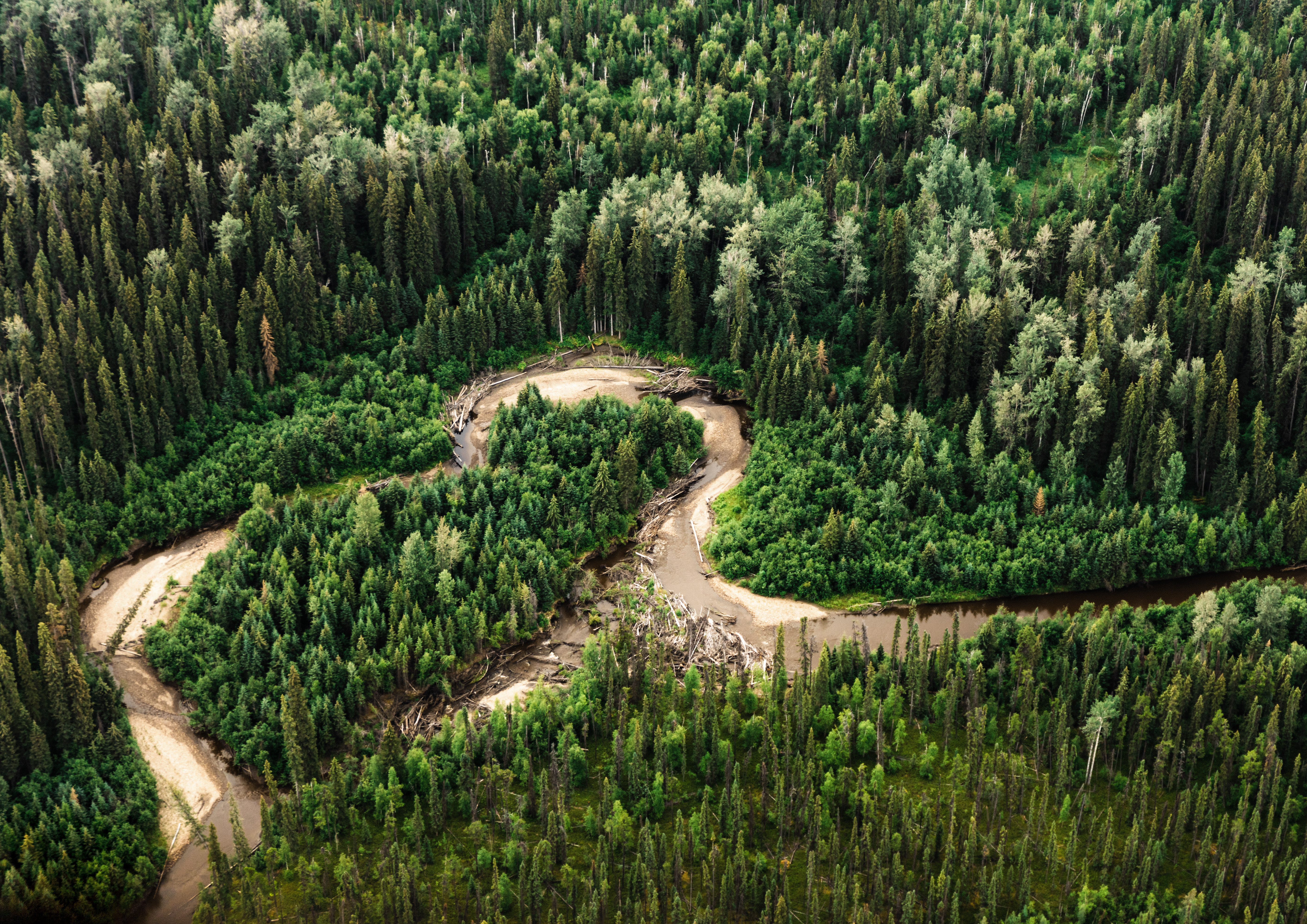 Aerial view of lush forested landscape with winding river in Dene K'éh Kusān