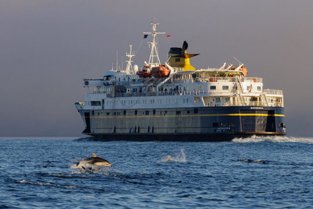 Photo of ferry and dolphins swimming nearby. Photo credit: Markus Thompson