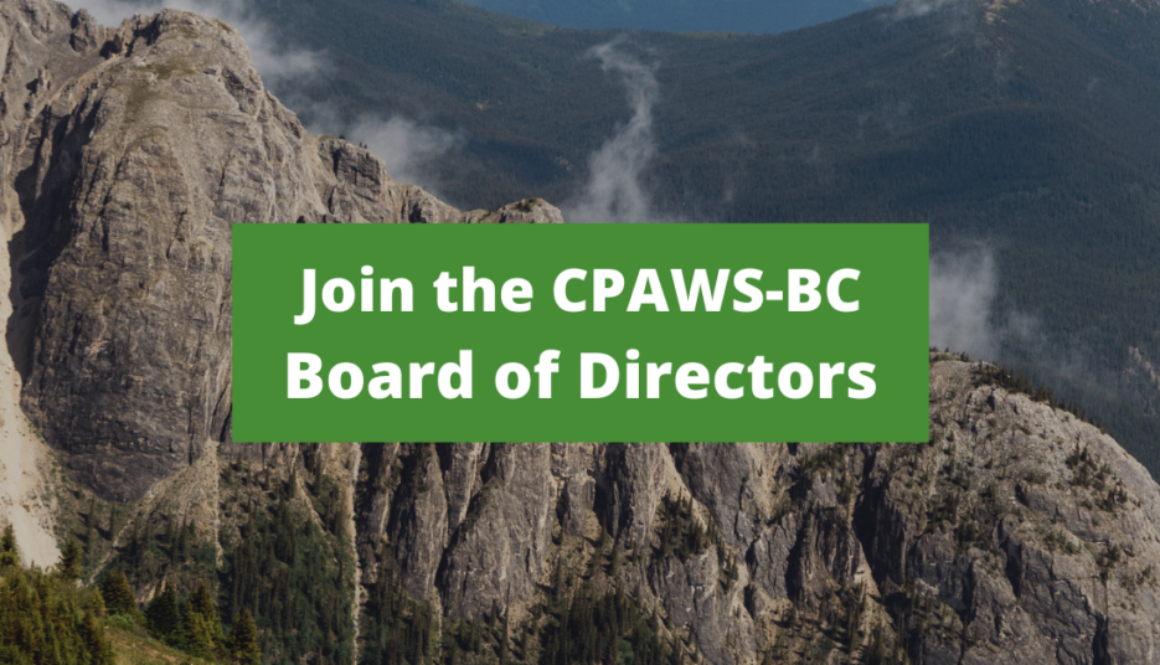 WP - Hiring Board of Directors (1200 x 628 px)