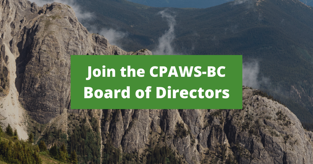 WP - Hiring Board of Directors (1200 x 628 px)