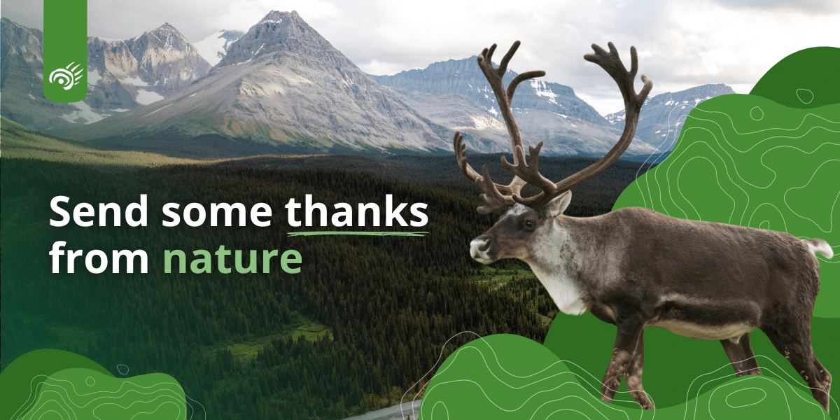 2024 Caribou Agreement Announcement - Action Page