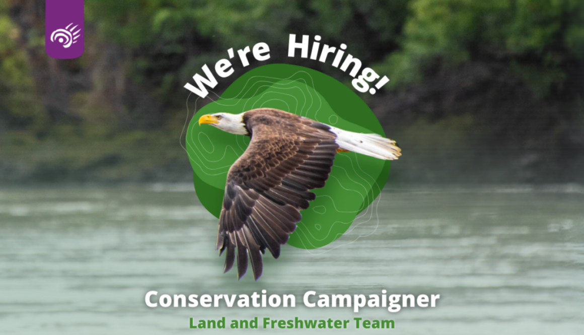 0725 2024 Hiring - Conservation Campaigner Team T - Website