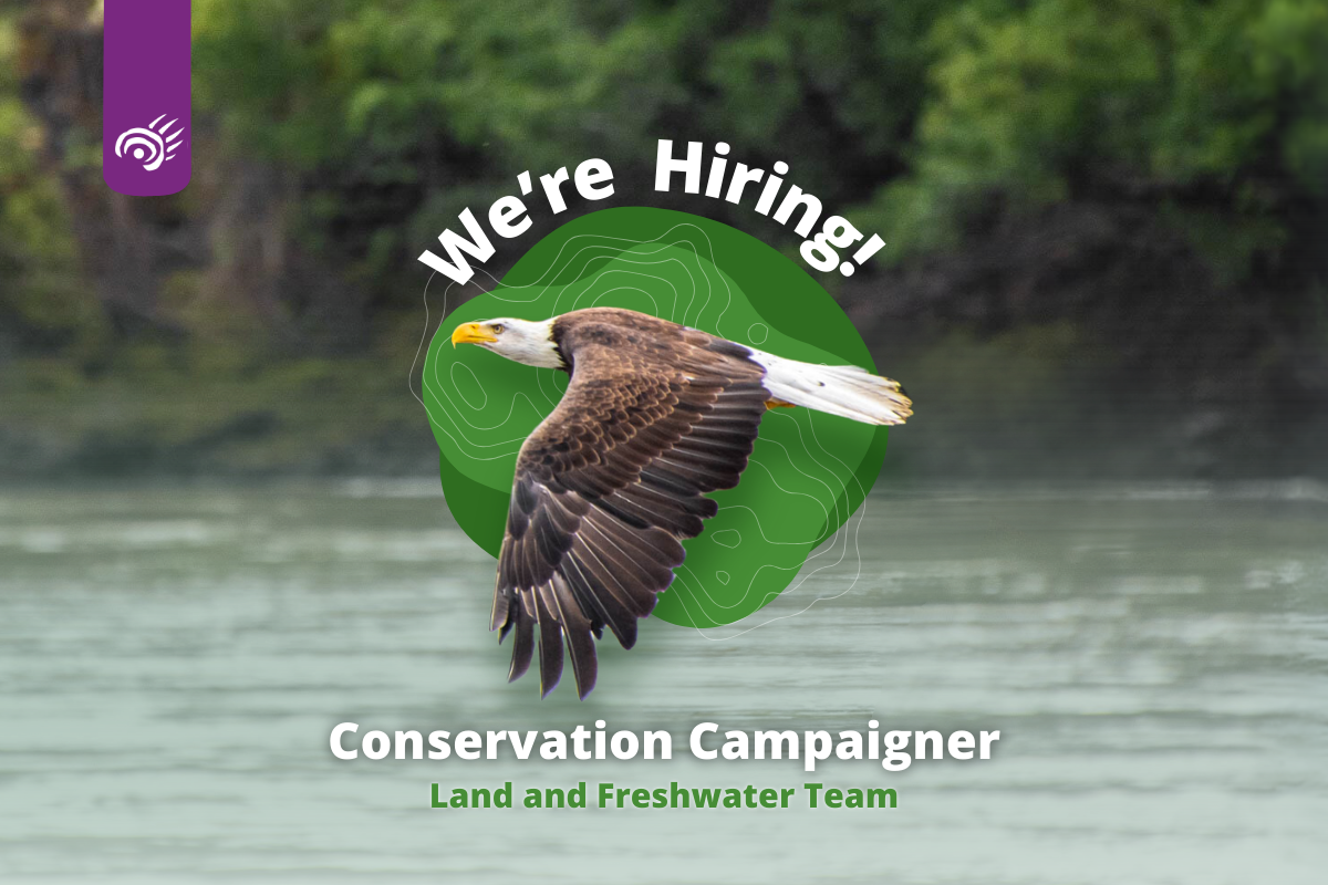 0725 2024 Hiring - Conservation Campaigner Team T - Website
