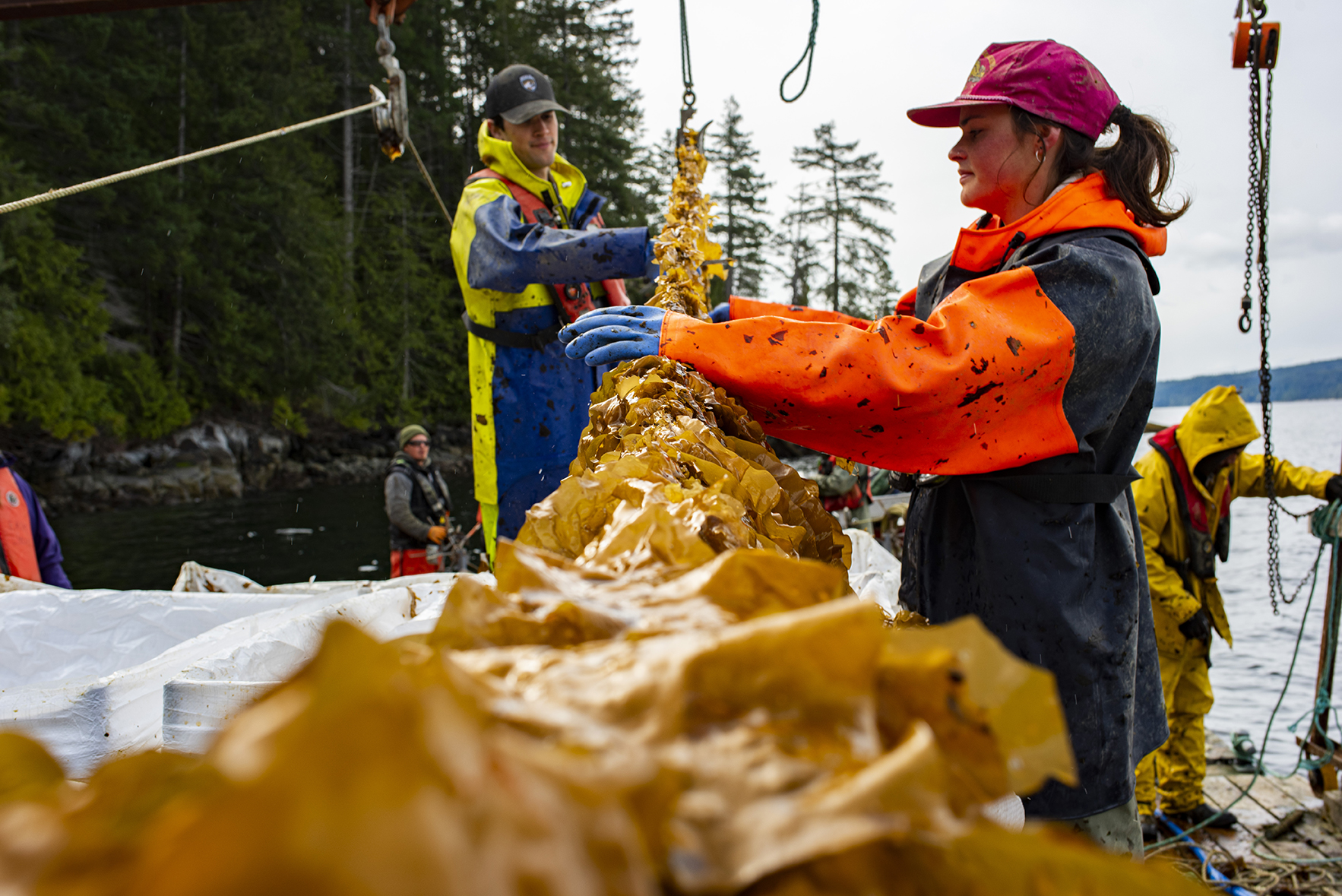 Photo by Troy Moth as part of the Lichen project with support from Ecotrust Canada and Cascadia Seaweed. Klahoose territory.