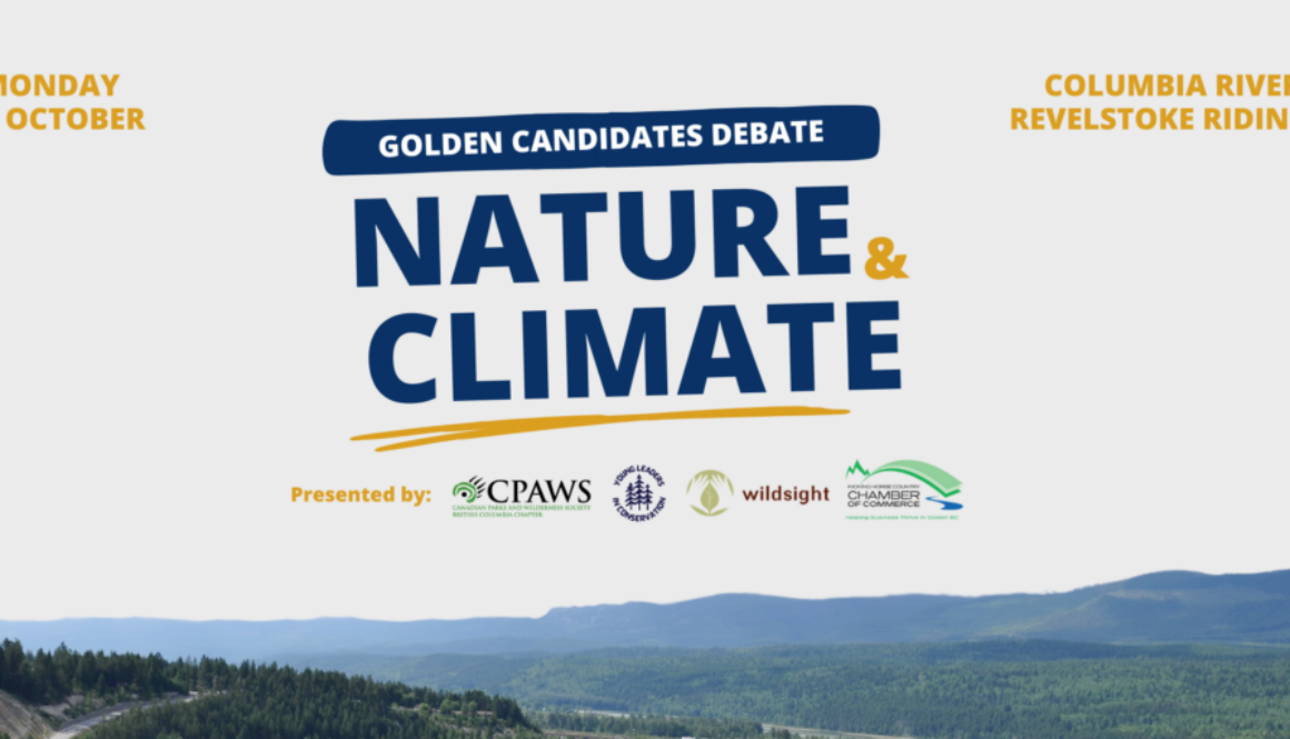 2024 Candidates Debate Eventbrite Web Banner - Golden