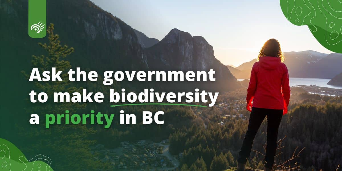 BC-Oct2024-BiodiversityLTE2