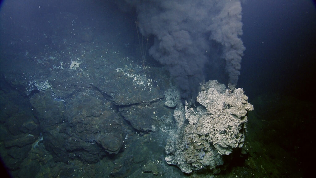 Dark gray plumes of mineral rich gases are emitted from a hydrothermal vent on the seafloor