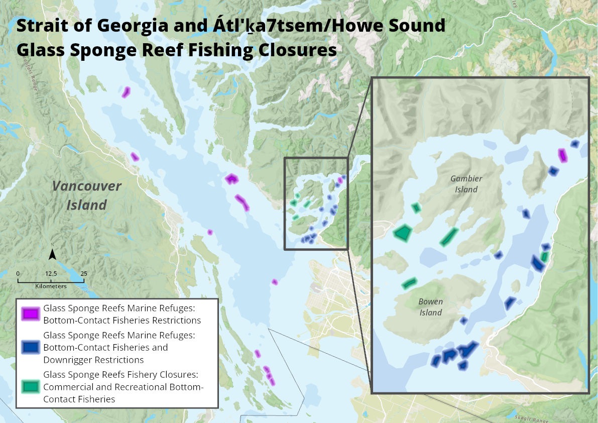 A map showing glass sponge reef fishing closures in the Salish Sea