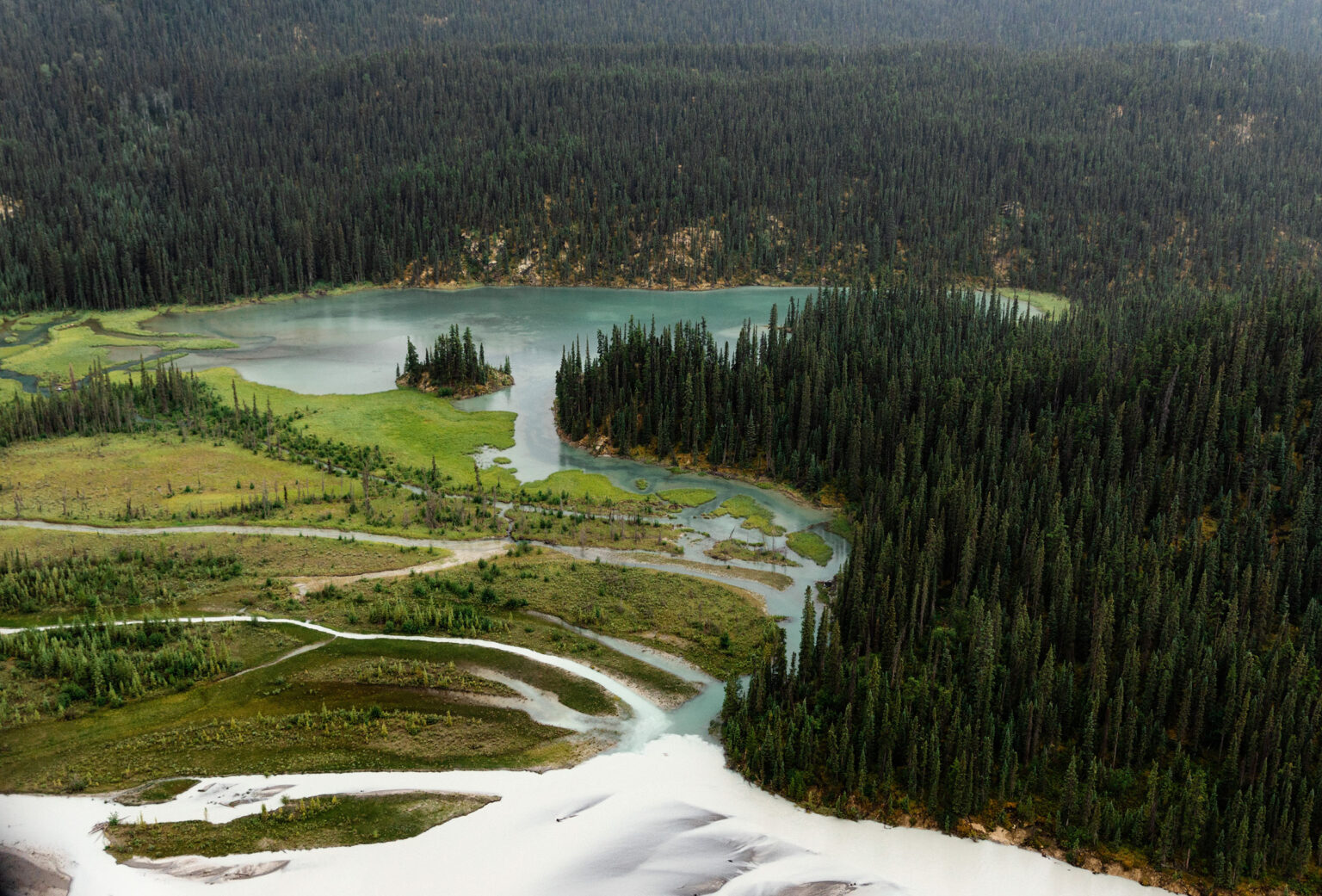 Progress Bc CPAWS-BC | Canadian Parks and Wilderness Society – British Columbia Chapter
