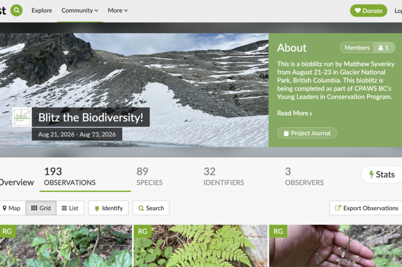 Did you find any interesting species while exploring this summer?